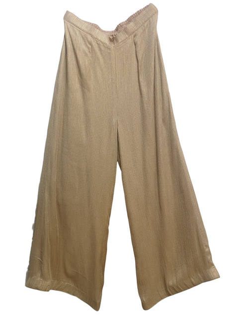 Beige plazzo pant a white background