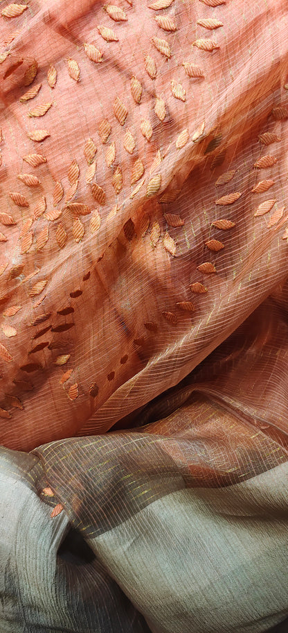 Formal Pure Silk Tissue Applique Saree