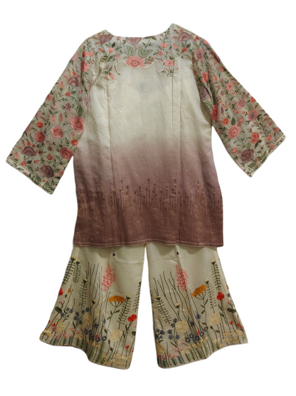 Formal chanderi Embroidered Indowestern set