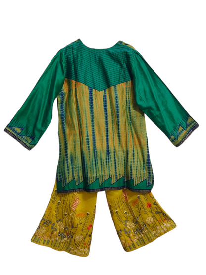 Formal chanderi Embroidered Indowestern set