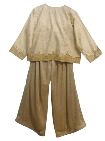 Indowestern chanderi formal coordset