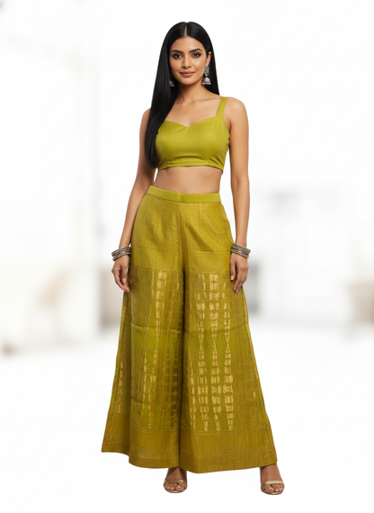 Formal chanderi Embroidered Palazzo pant